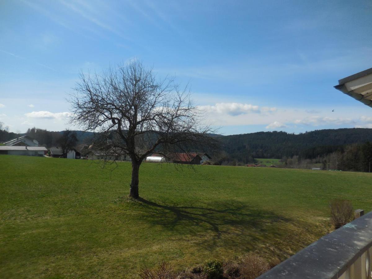 Pension Waldblick Bobrach Exterior photo
