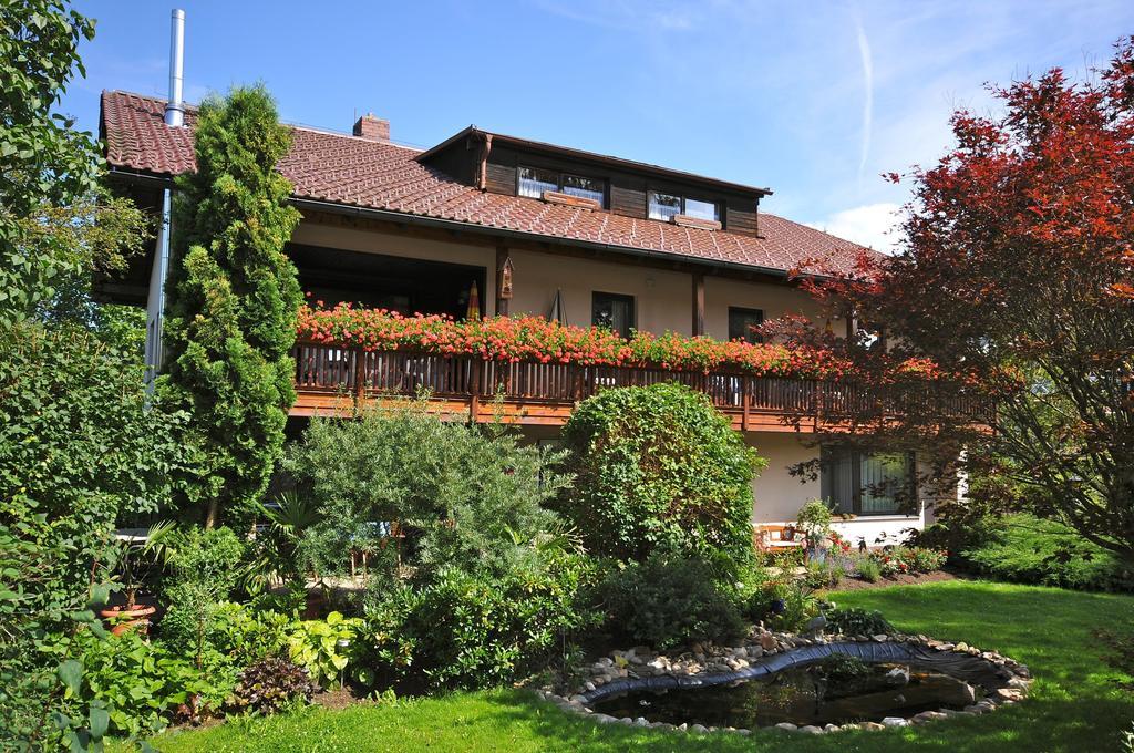Pension Waldblick Bobrach Exterior photo